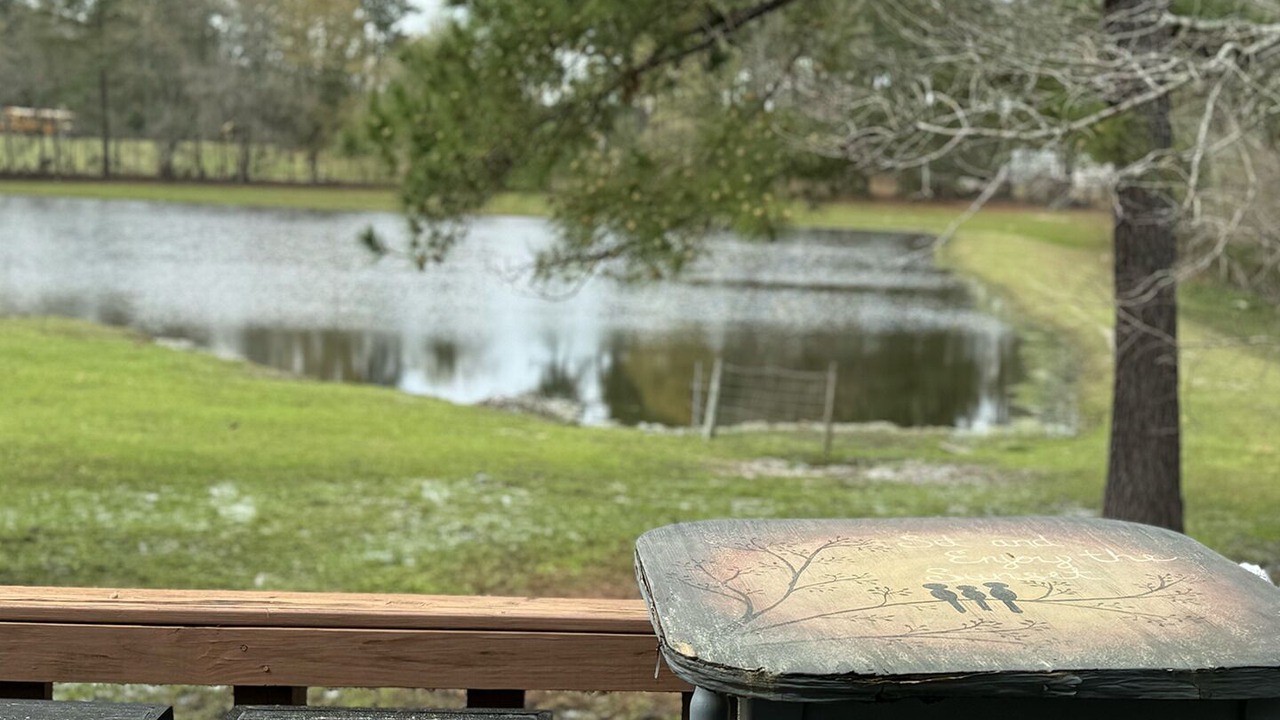 Photo of Outdoor in Metter