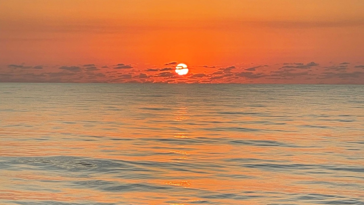 Photo of Others in Vero Beach