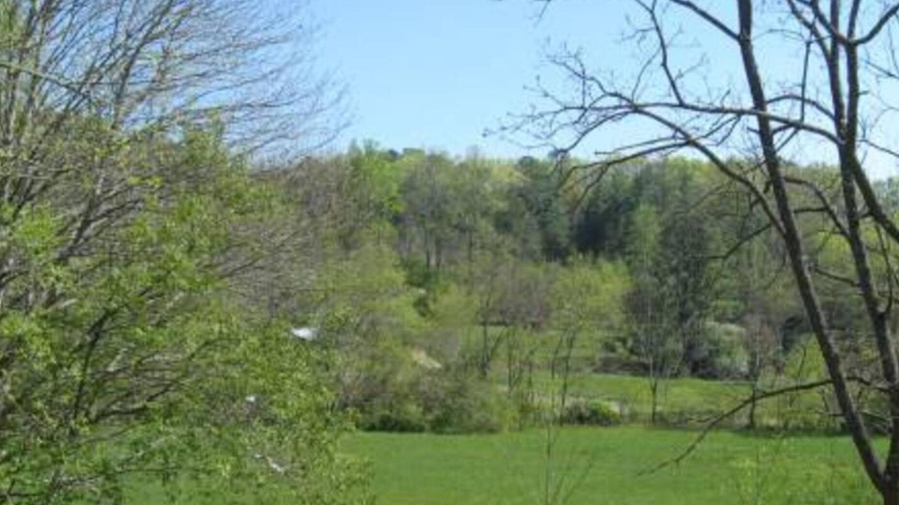 Photo of Others in Franklin