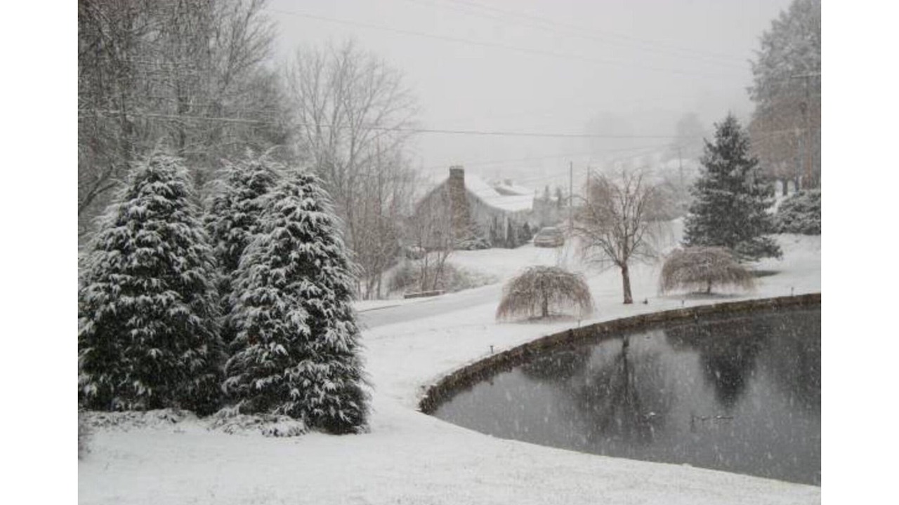 Photo of Outdoor in Franklin
