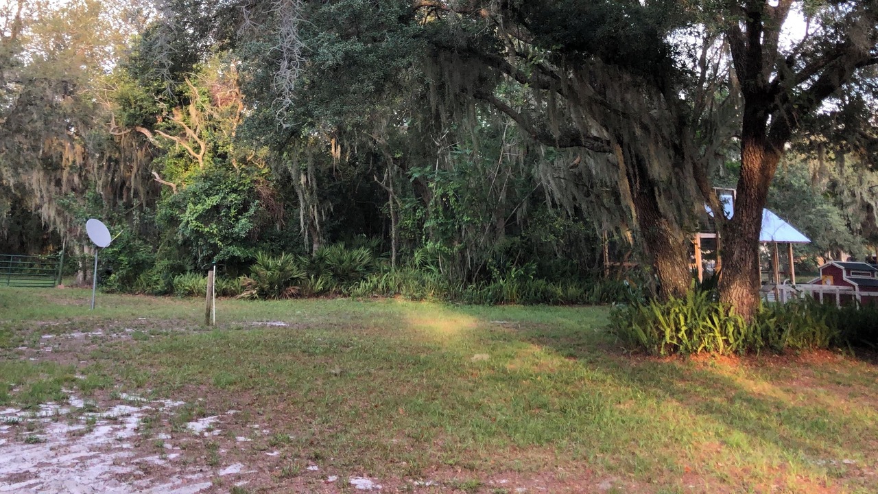 Photo of Outdoor in Lake Wales