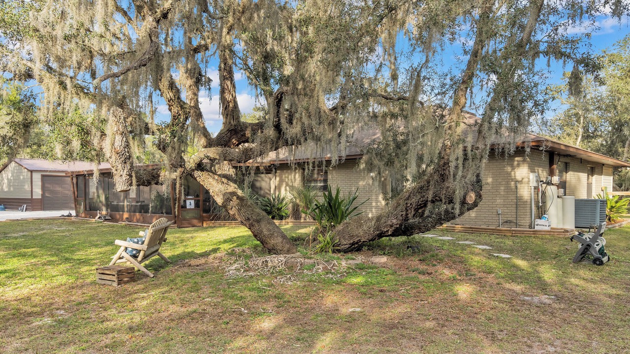 Photo of Outdoor in Lake Wales