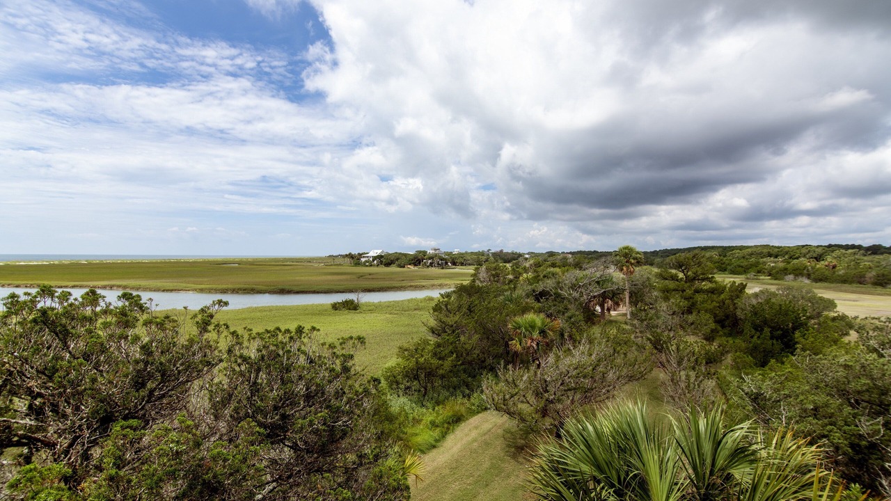 Photo of Outdoor in Edisto Island