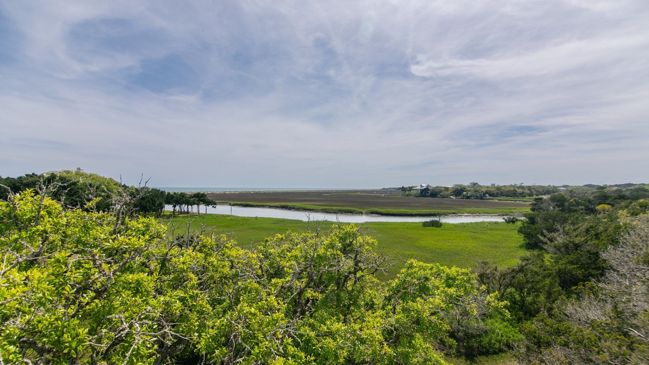 Photo of Others in Edisto Island