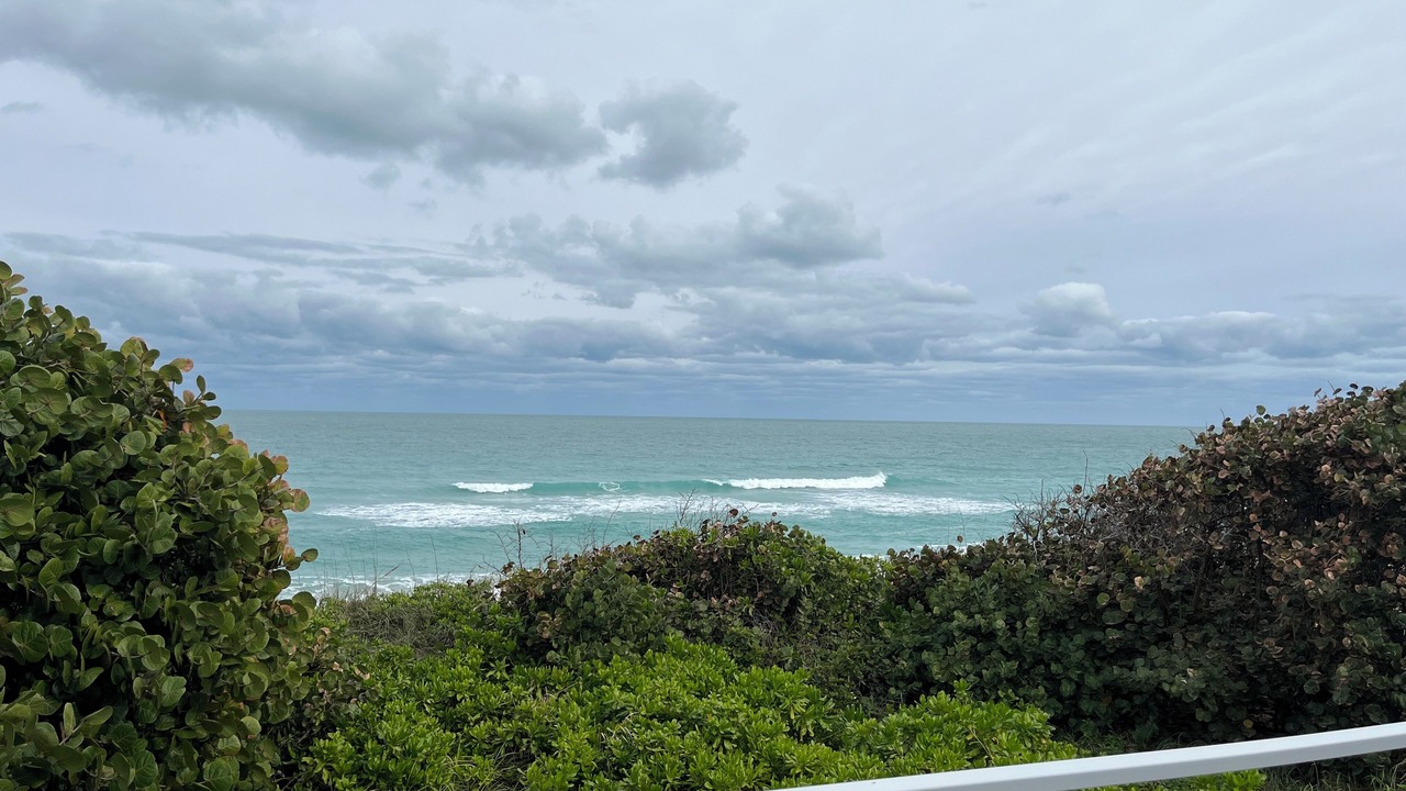 Photo of Others in Melbourne Beach