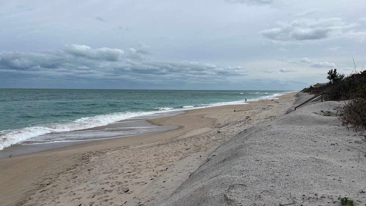 Photo of Others in Melbourne Beach