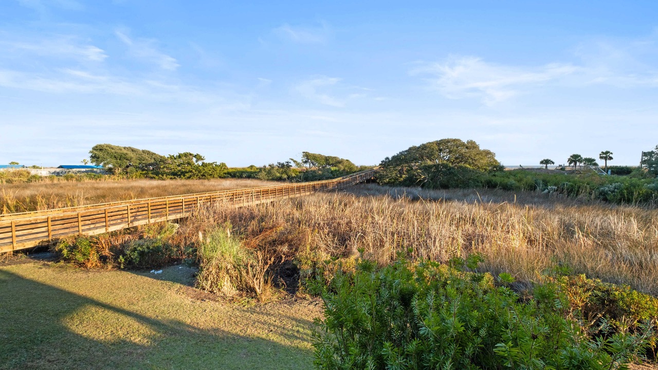Photo of Others in Folly Field