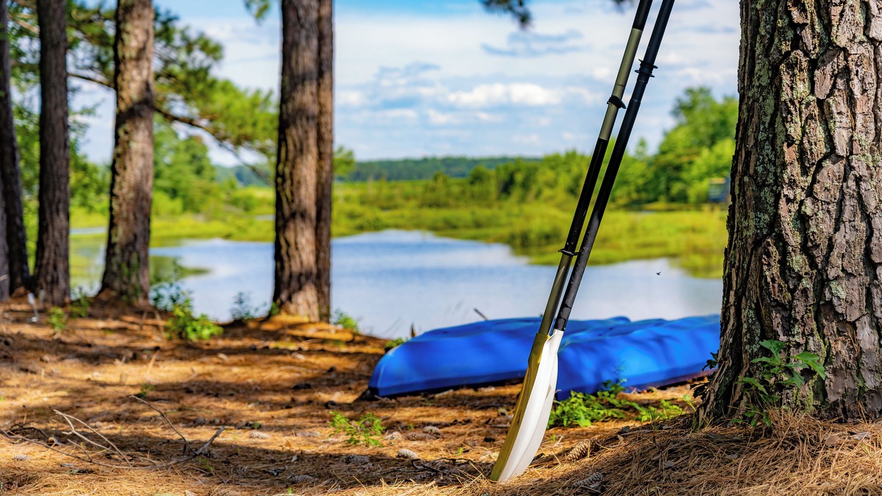 Photo of Outdoor in Vass