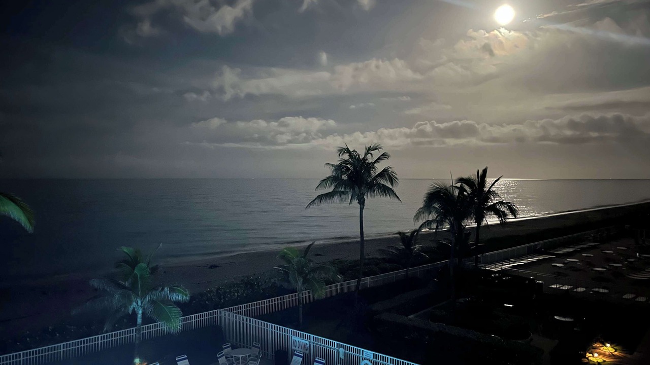 Photo of Others in Hutchinson Island South