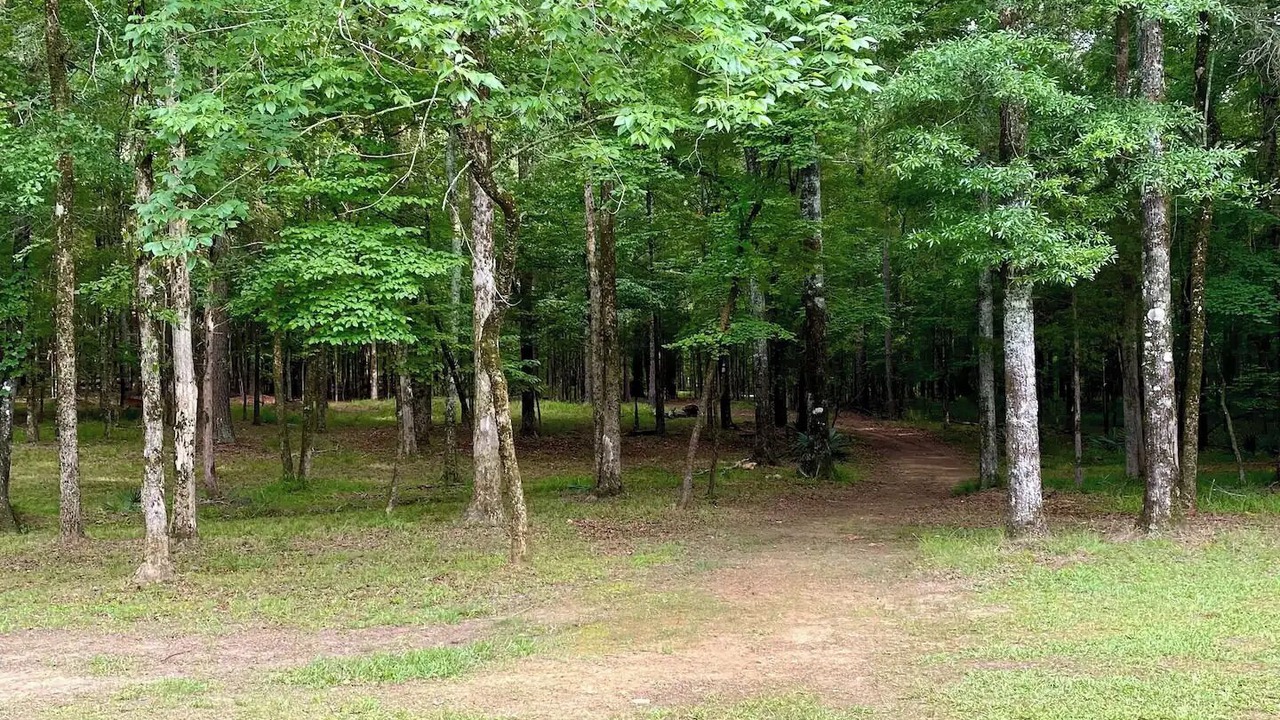 Photo of Outdoor in Lincolnton