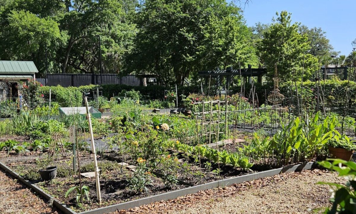 Photo of Outdoor in Habersham