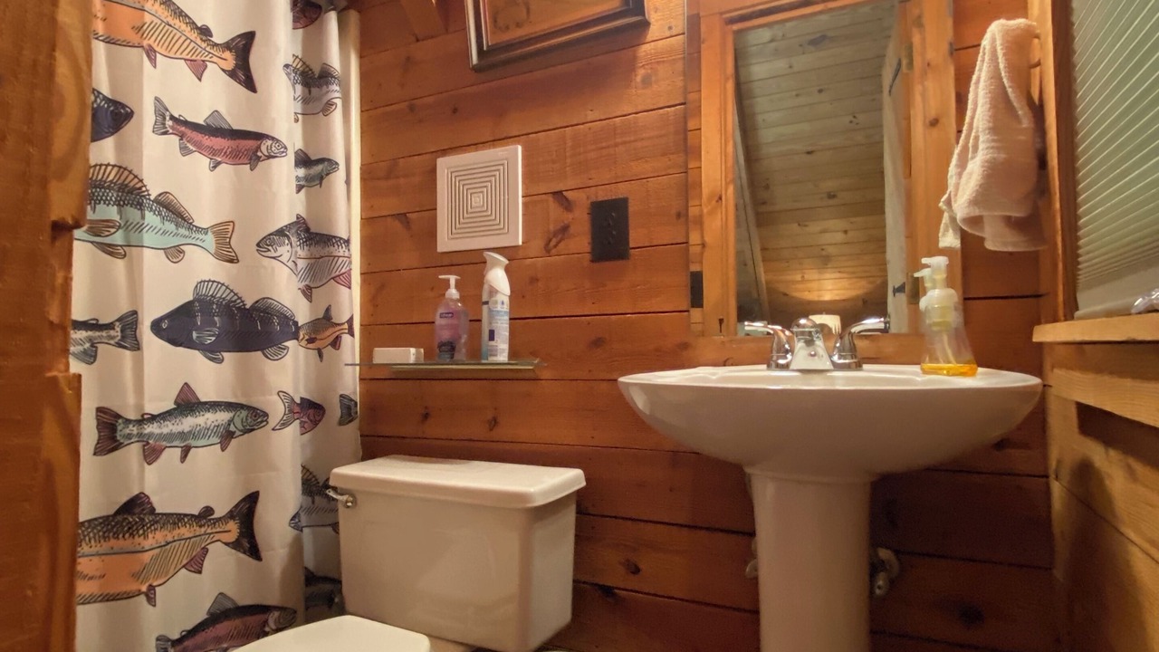 Photo of Bathroom in Mountain Rest