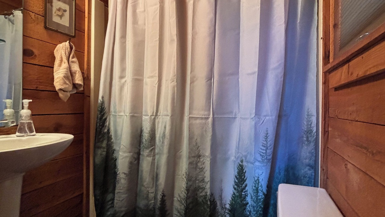 Photo of Bathroom in Mountain Rest