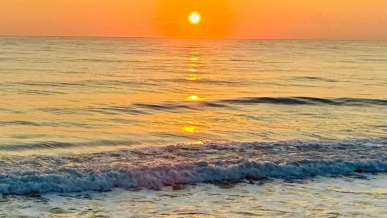 Photo of Others in Floridana Beach
