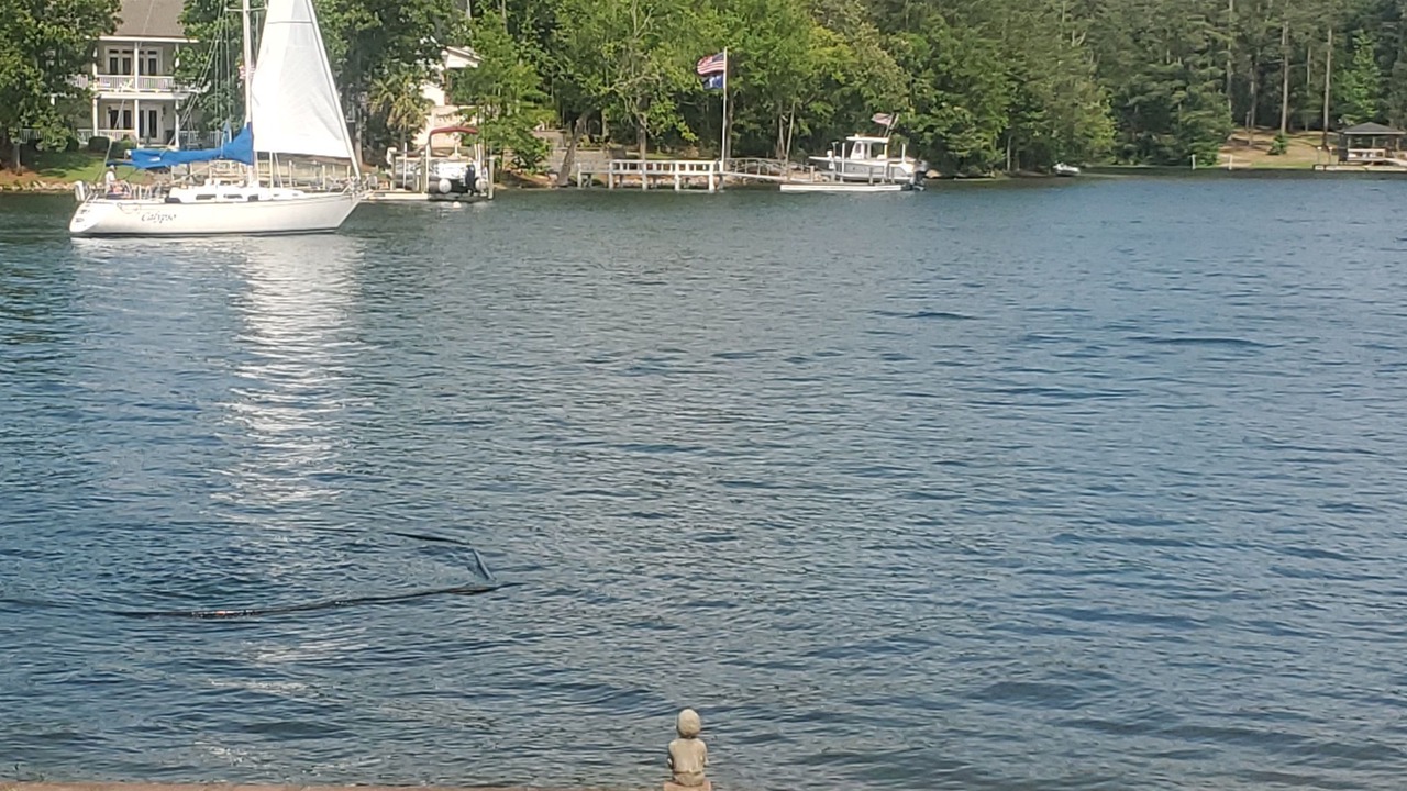Photo of Outdoor in Lake Murray of Richland