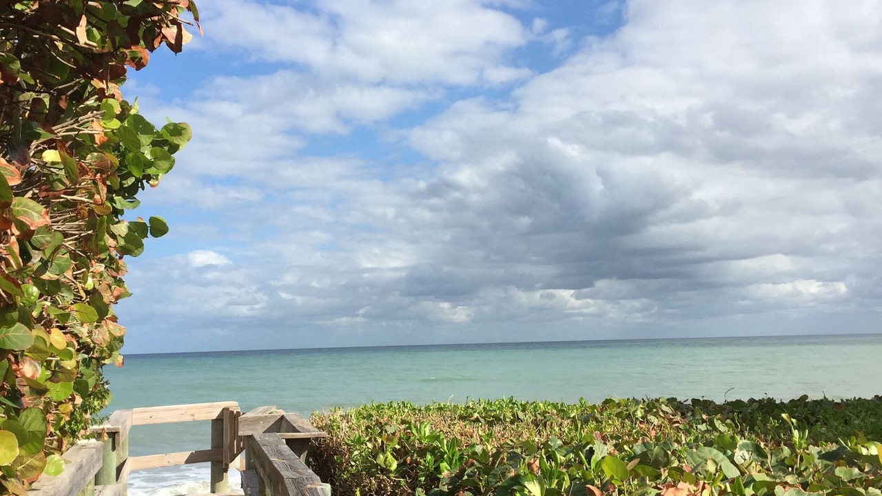 Photo of Outdoor in Wabasso Beach