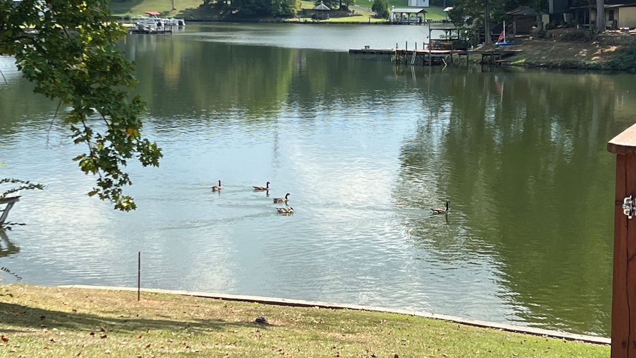Photo of Outdoor in Greenwood