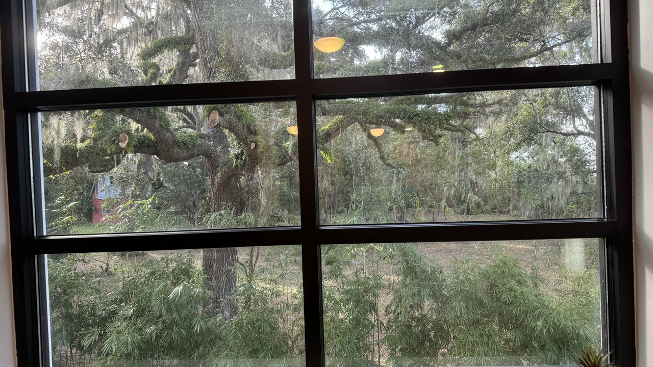Photo of Others in Zephyrhills West