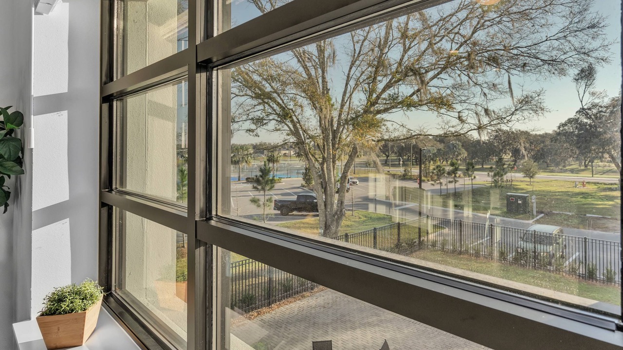 Photo of Outdoor in Zephyrhills West