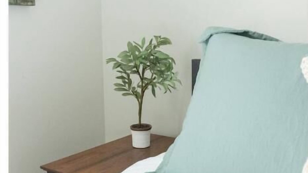 Photo of Bedroom in Taylors