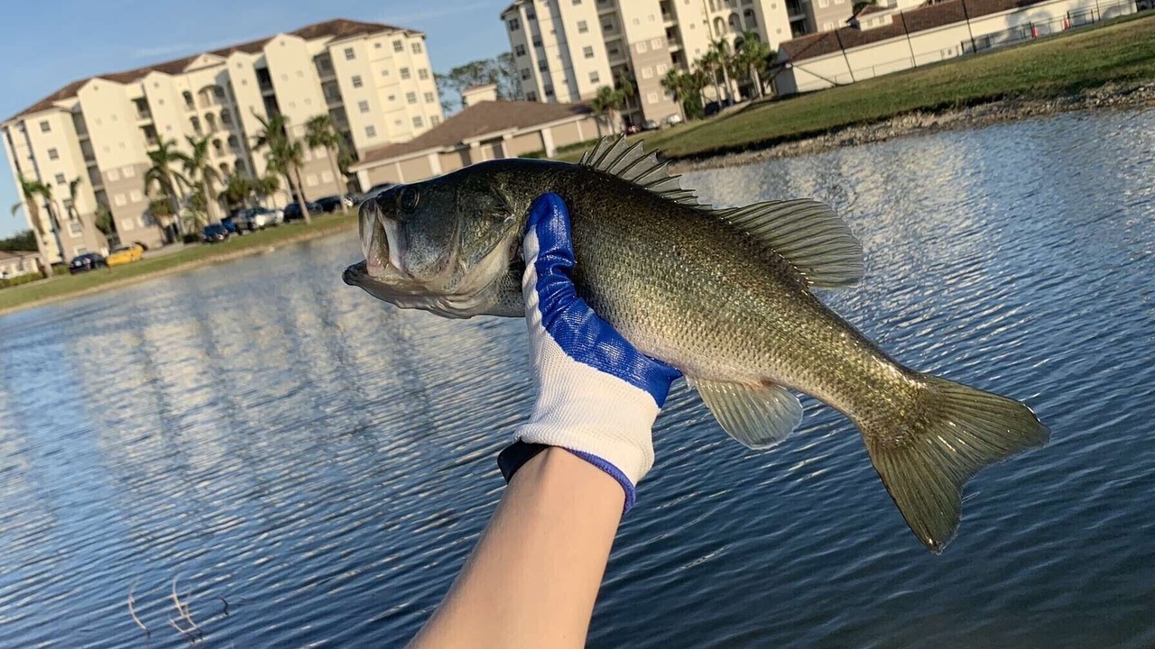 Photo of Others in Fort Myers