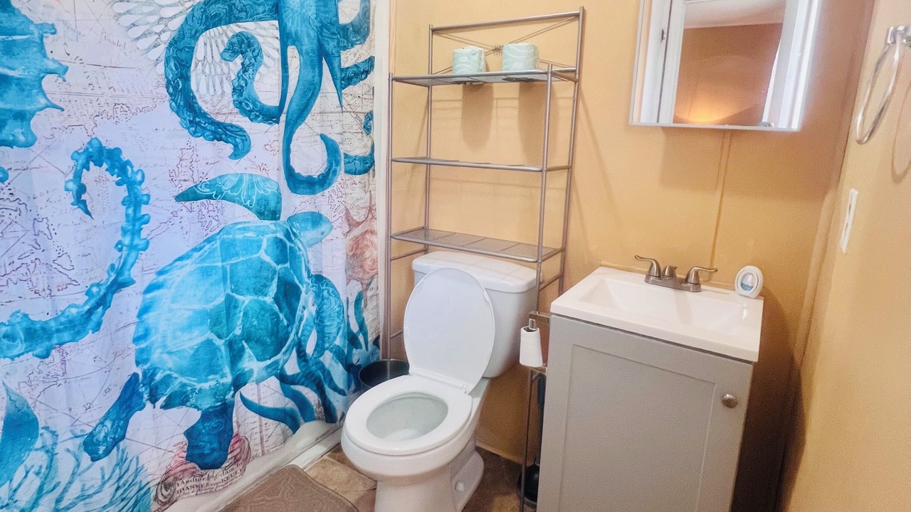 Photo of Bathroom in Garden City