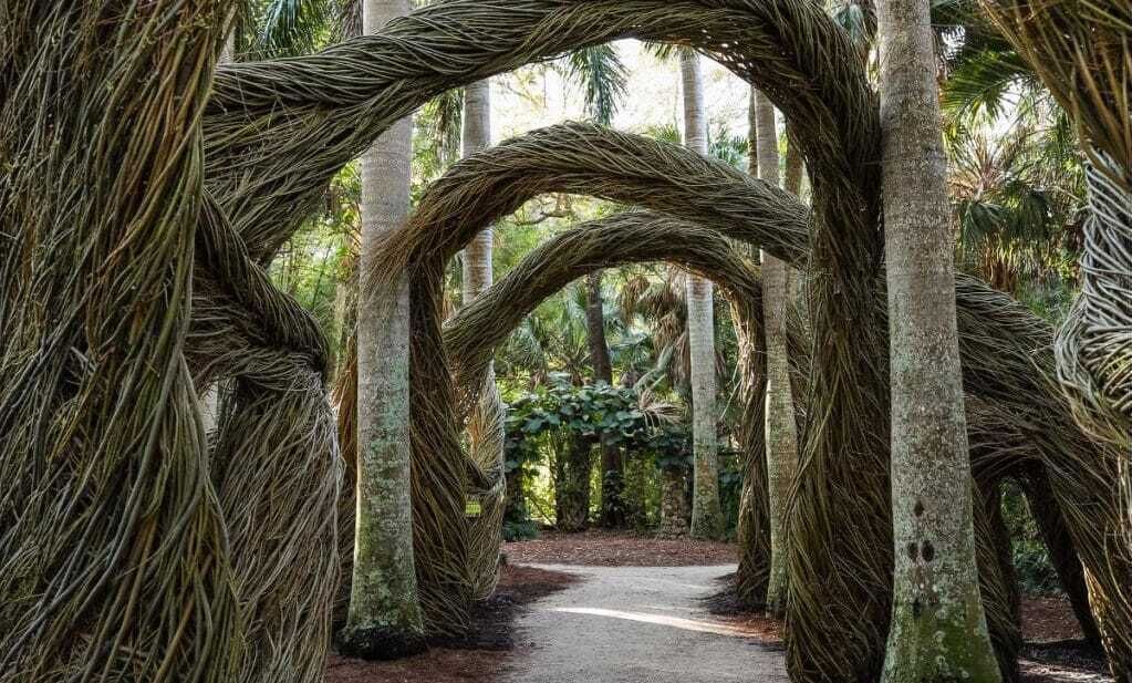 Photo of Outdoor in Sebastian Highlands