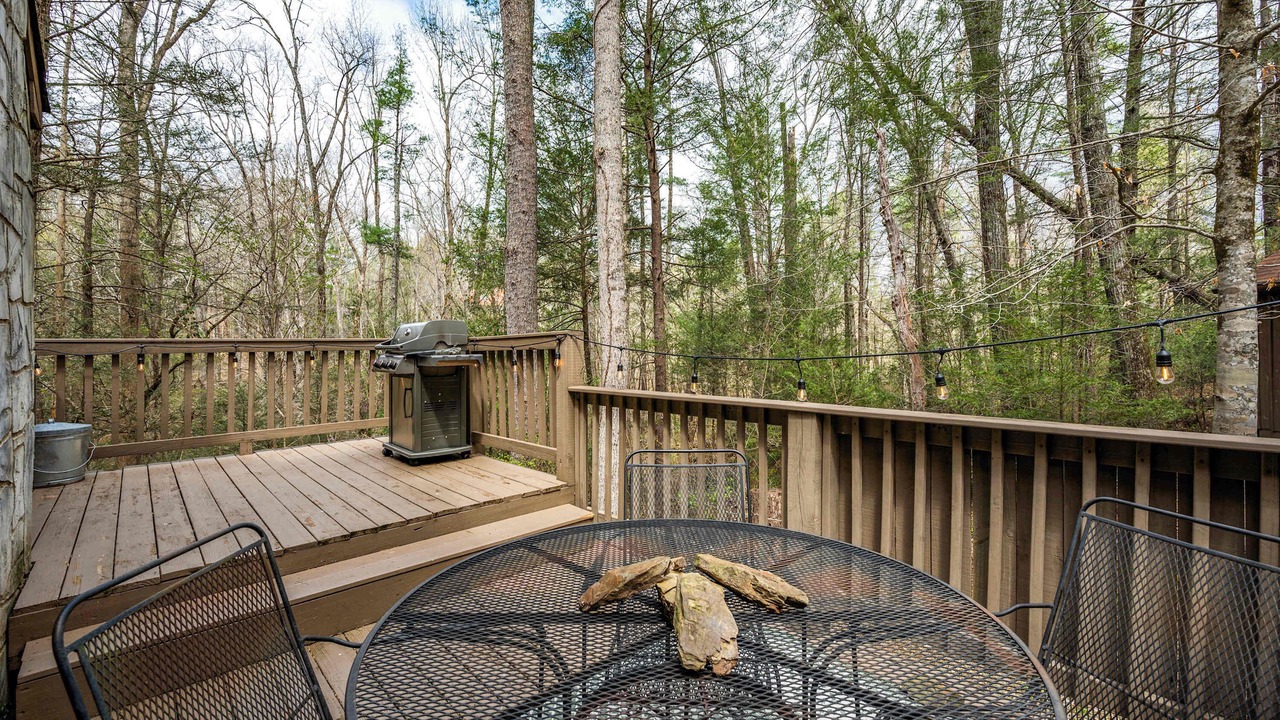 Photo of Outdoor in Townsend