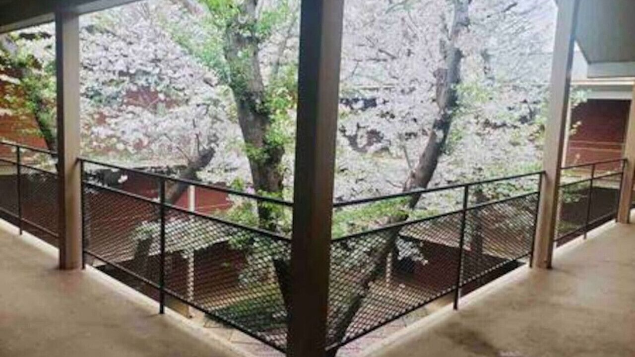 Photo of Outdoor in Athens