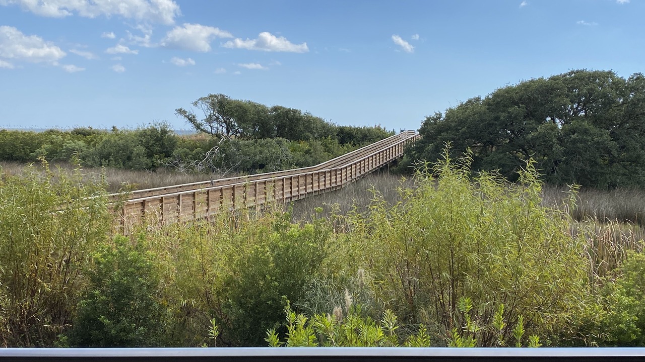 Photo of Outdoor in Folly Field