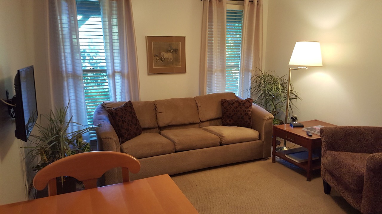 Photo of Livingroom in Hancock Mill
