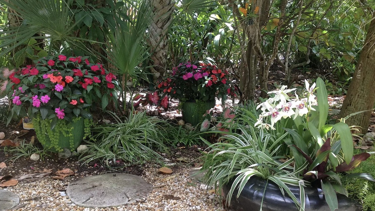 Photo of Outdoor in Summerplace