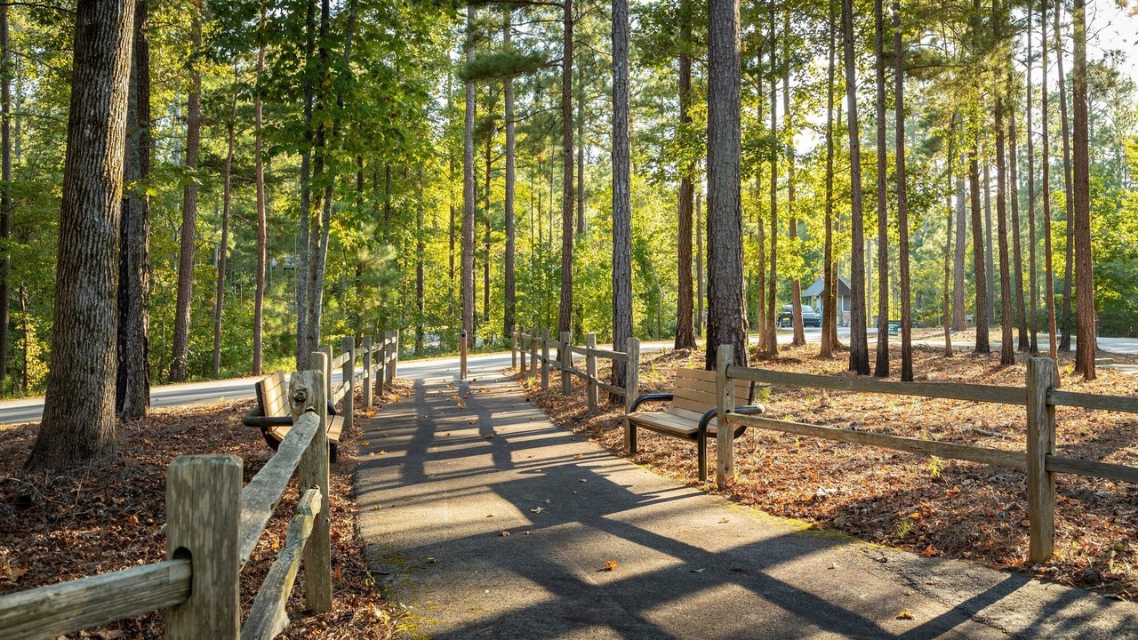 Photo of Outdoor in Oakwood