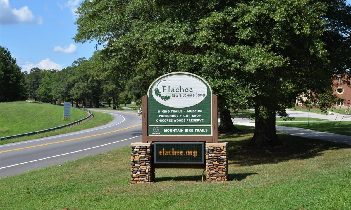 Photo of Outdoor in Oakwood