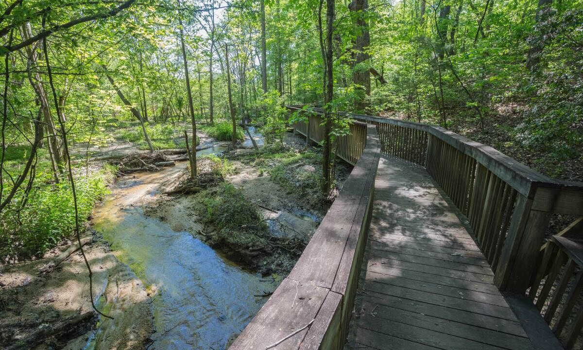 Photo of Outdoor in Oakwood