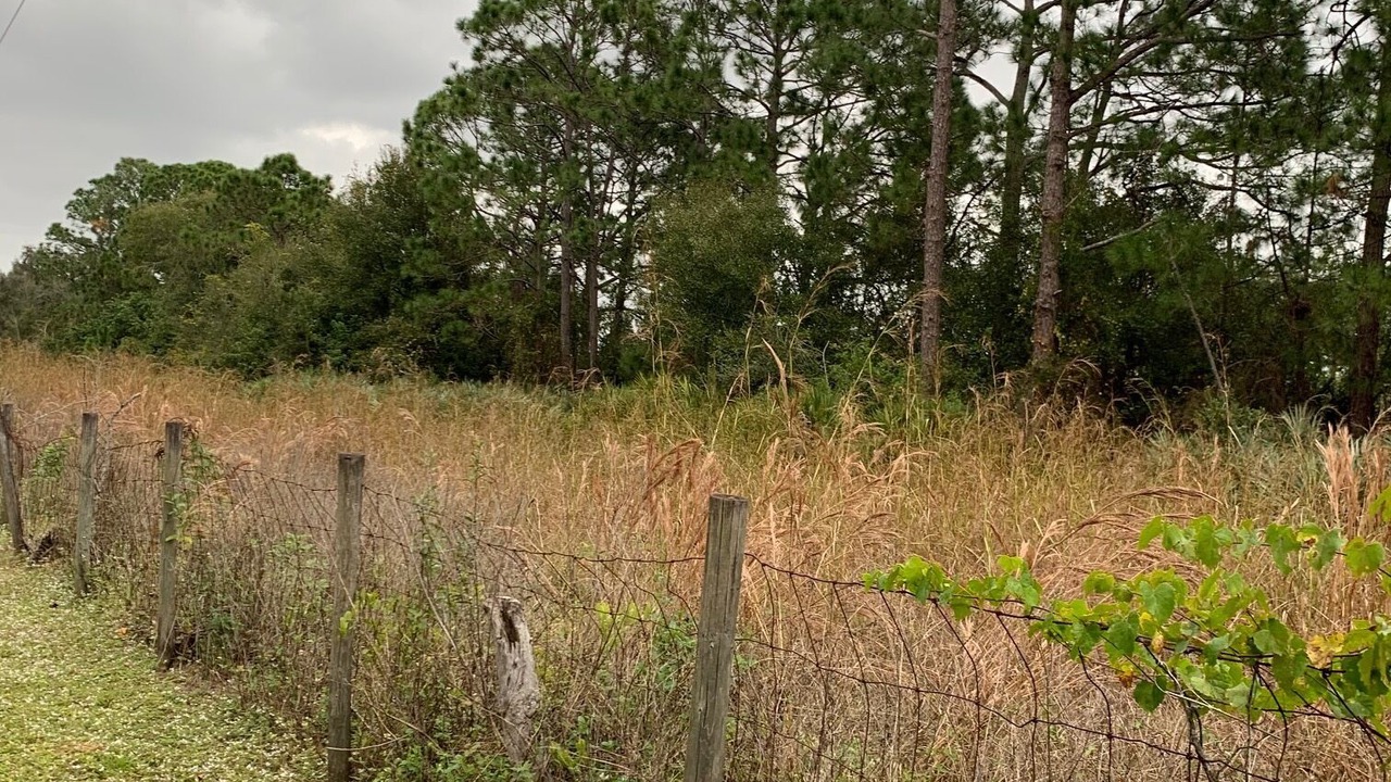 Photo of Outdoor in Palm Bay