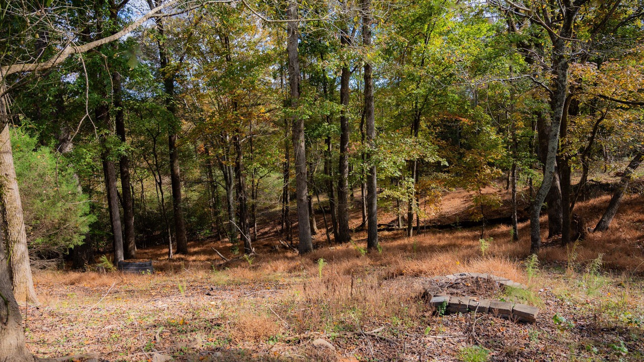 Photo of Outdoor in Auburn