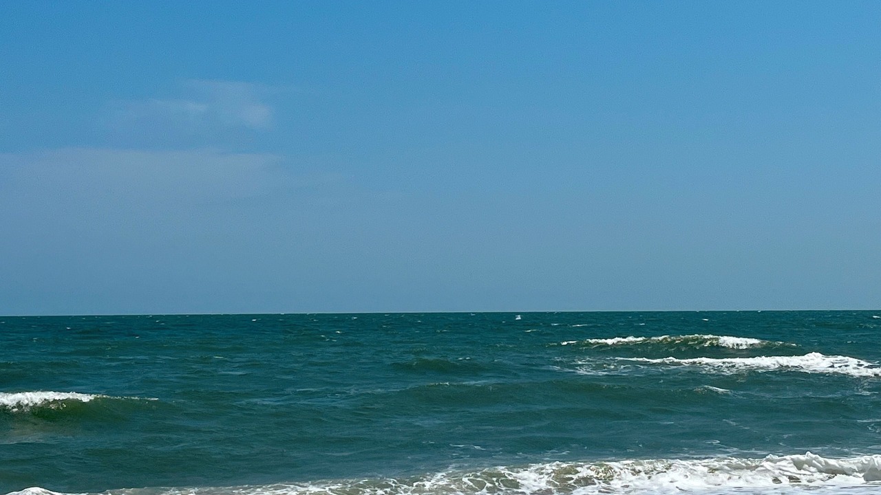 Photo of Others in Edisto Island