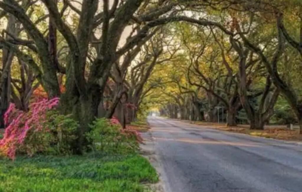 Photo of Outdoor in Aiken