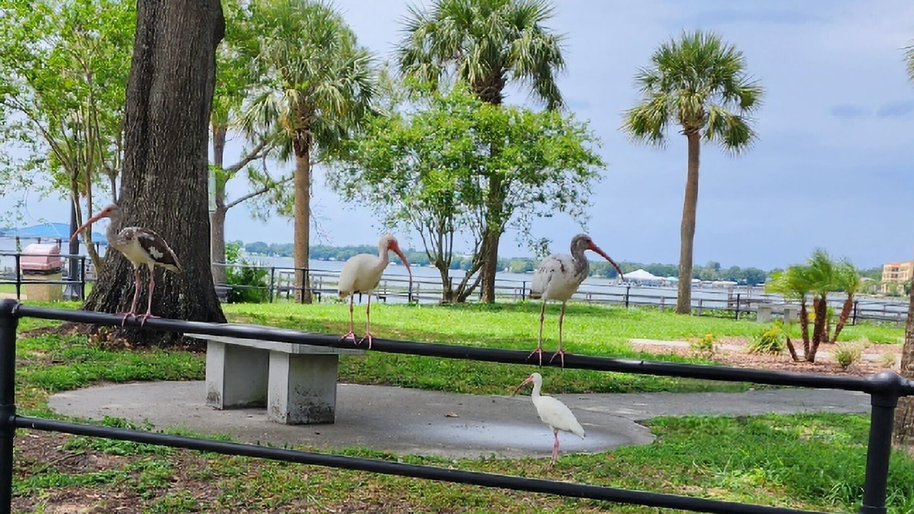 Photo of Others in Florida South Atlantic Coast