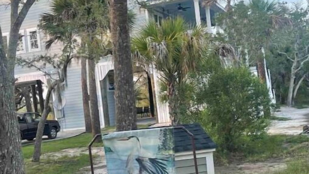 Photo of Outdoor in Edisto Island