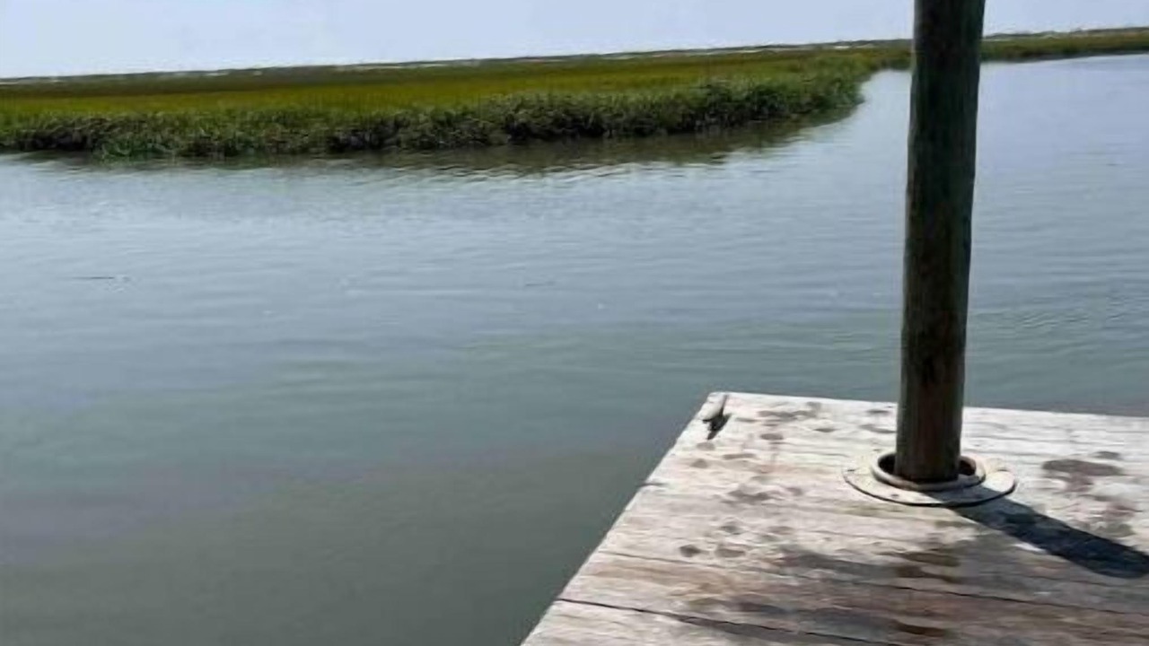 Photo of Outdoor in Edisto Island