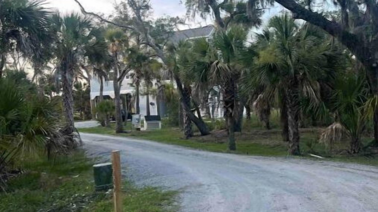 Photo of Others in Edisto Island