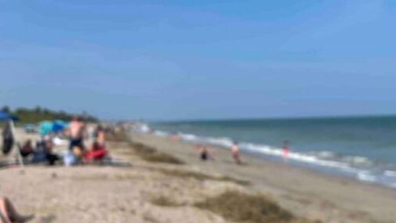 Photo of Others in Edisto Island