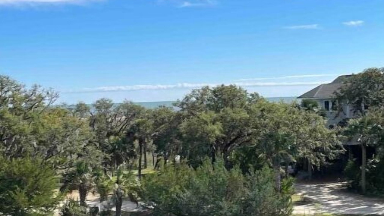 Photo of Outdoor in Edisto Island