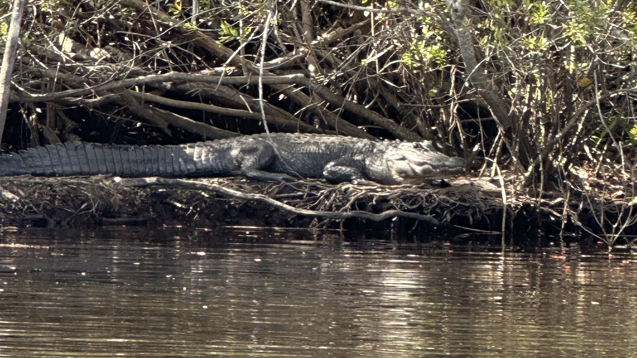 Photo of Others in Sebastian Highlands