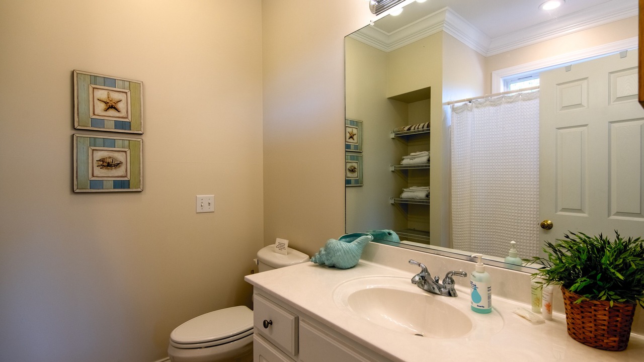 Photo of Bathroom in Edisto Island
