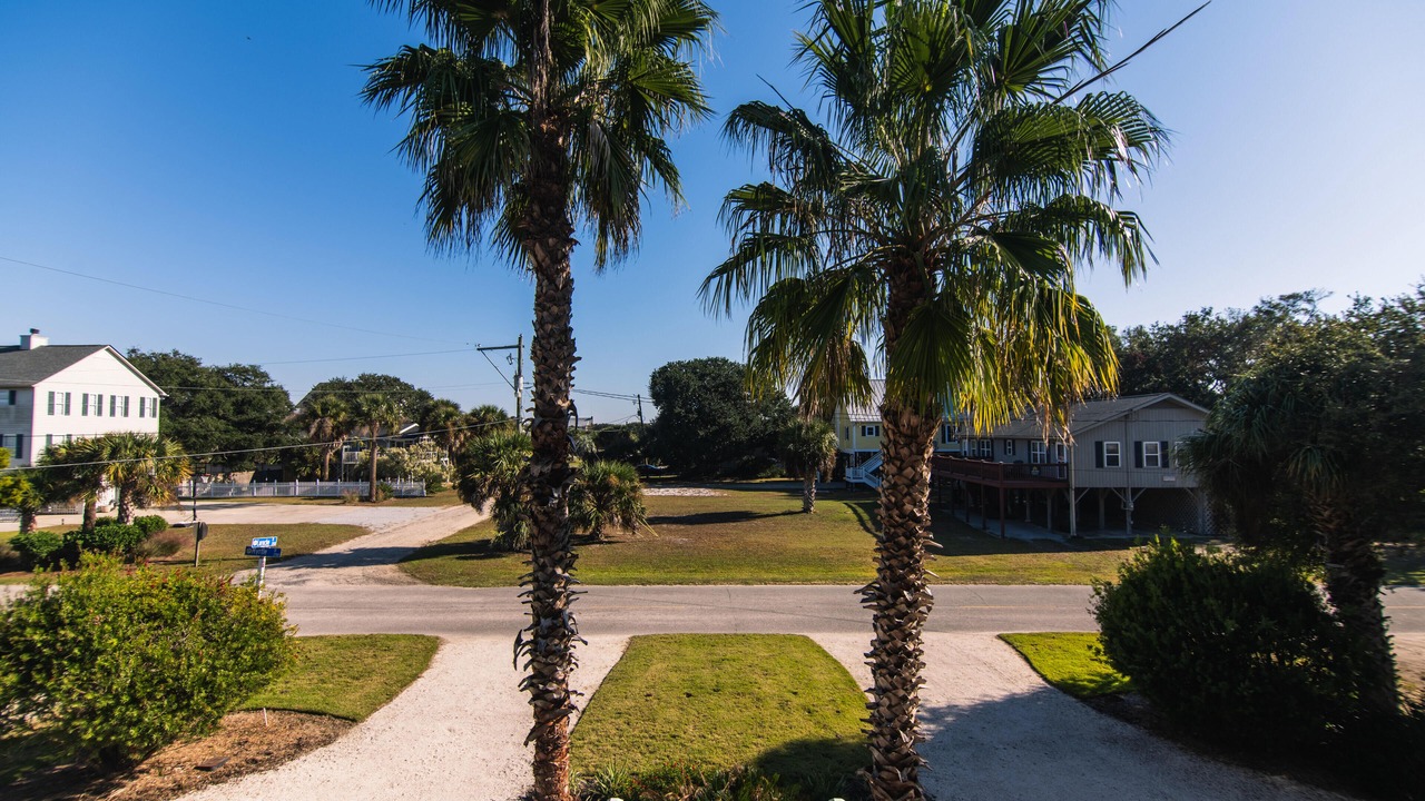Photo of Outdoor in Edisto Island