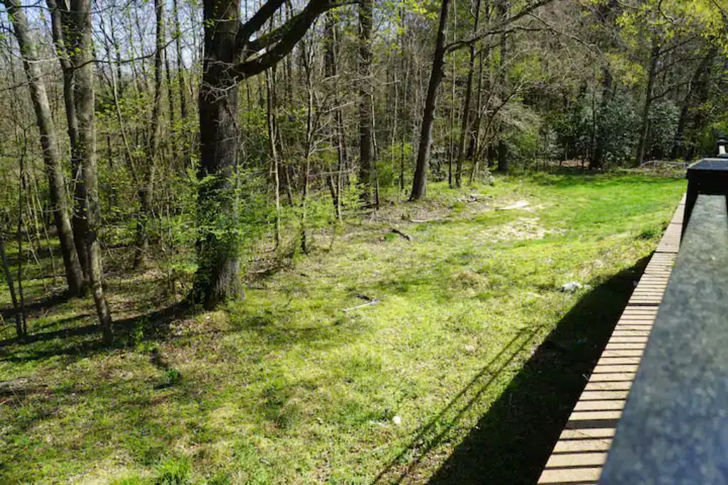 Photo of Outdoor in Northeast Raleigh