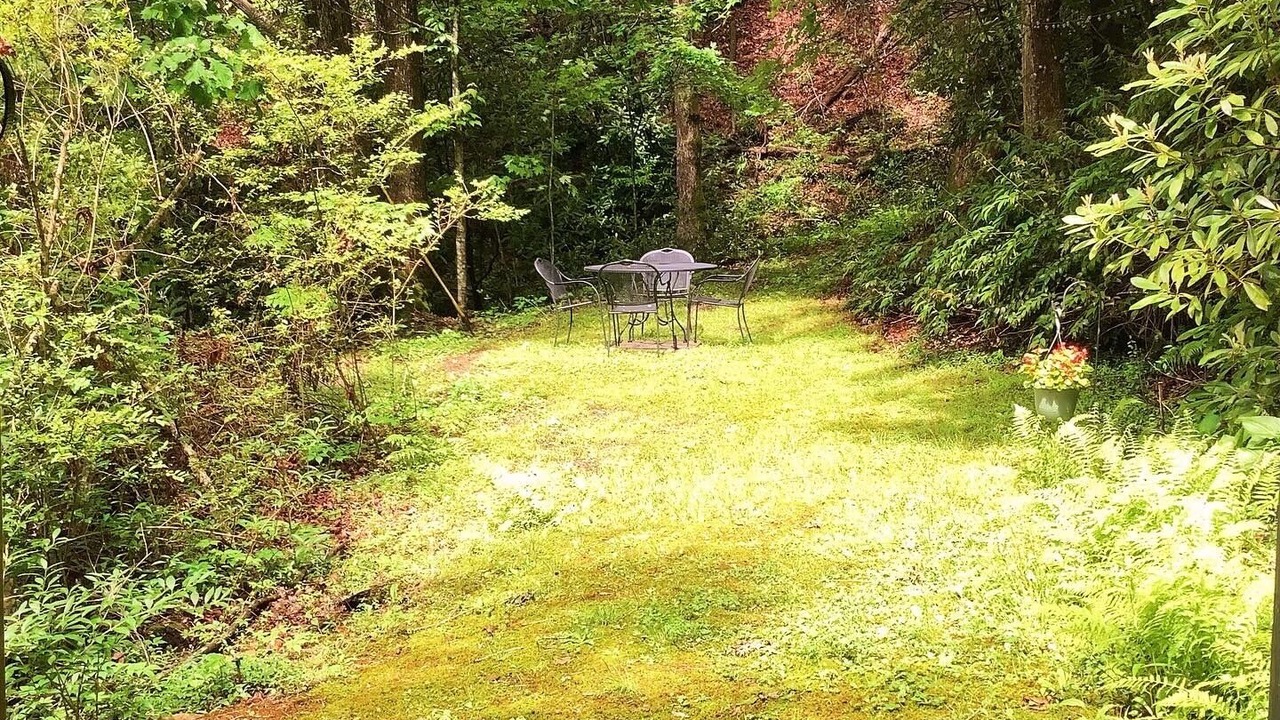 Photo of Outdoor in Pisgah Forest